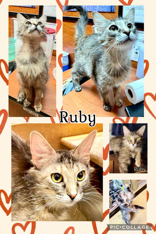 RUBY