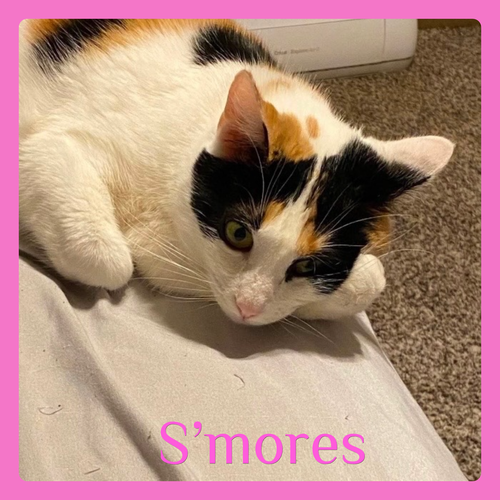 S’MORES