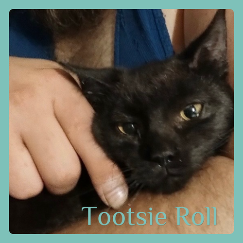 TOOTSIE ROLL