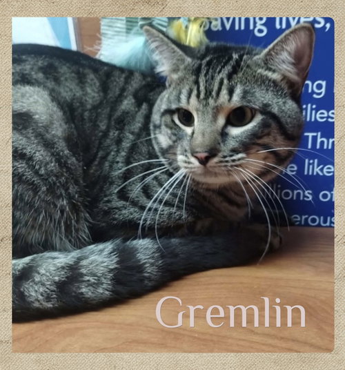GREMLIN