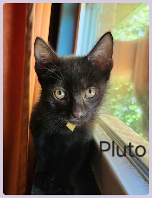 PLUTO