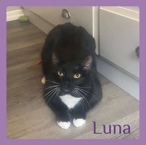 LUNA