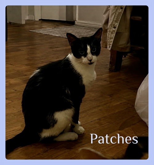 PATCHES