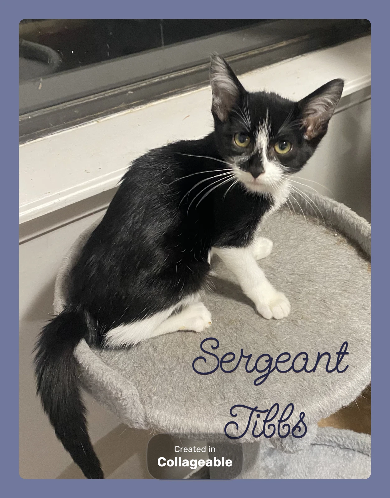 Sergeant Tibbs