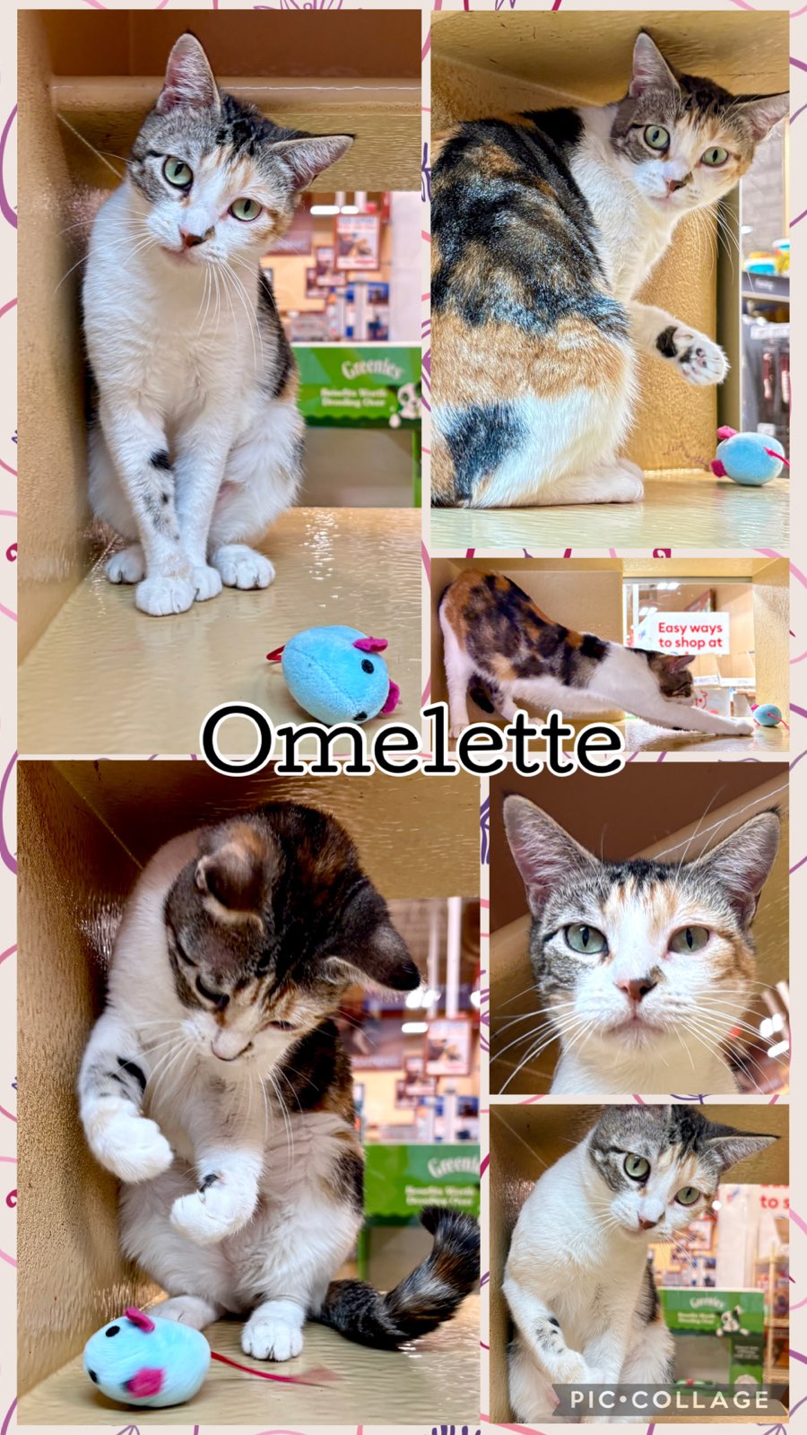 OMELETTE