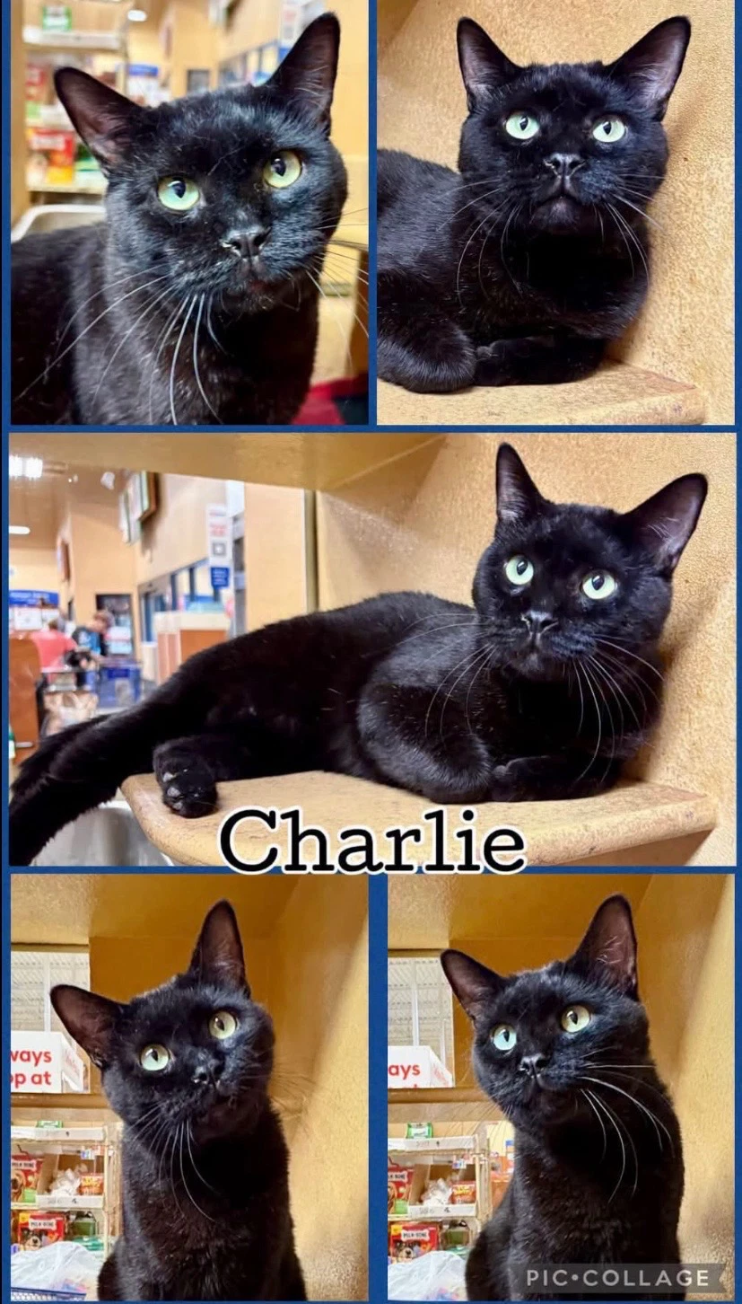 Charlie
