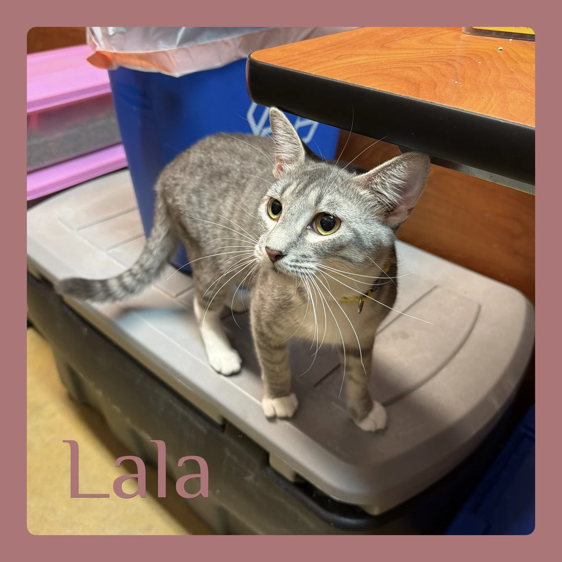 Lala