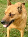 Artie - Photo 2