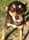 Callan - Photo 2
