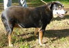 Alvey - Photo 4