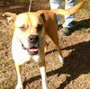 Jacoby - Photo 3