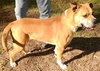 Jacoby - Photo 4