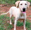 Cora - Photo 2