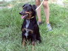 Rhea - Photo 2