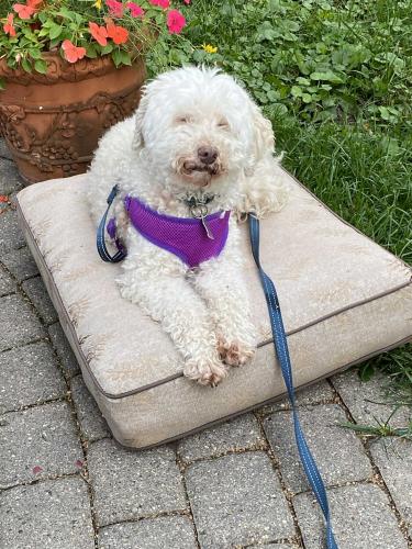 Maggie