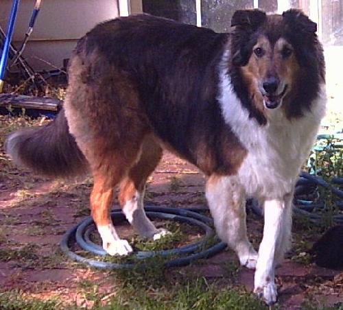 Frannie - photo 2
