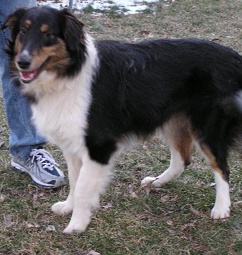 Riley - photo 2