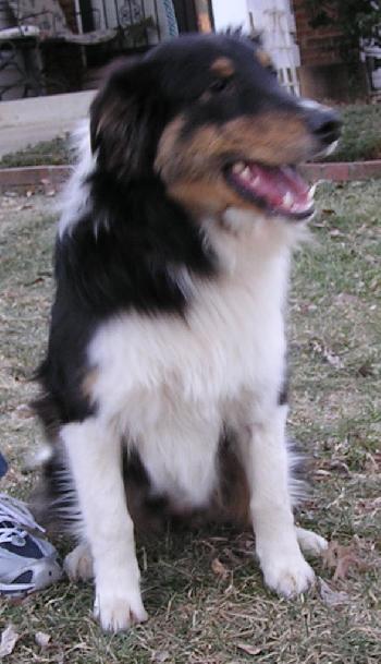 Riley - photo 3