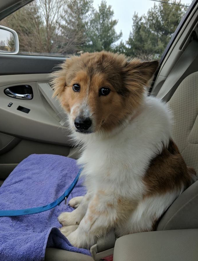 Penelope - photo 2