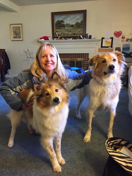 Penelope a Baby Female Collie / Mixed (long coat) adopted through Collie Rescue