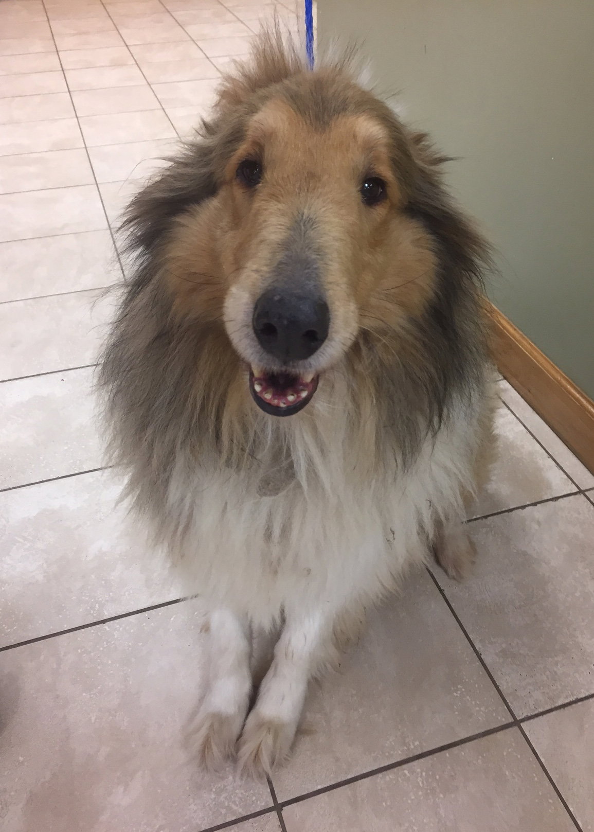 Jake - photo 2