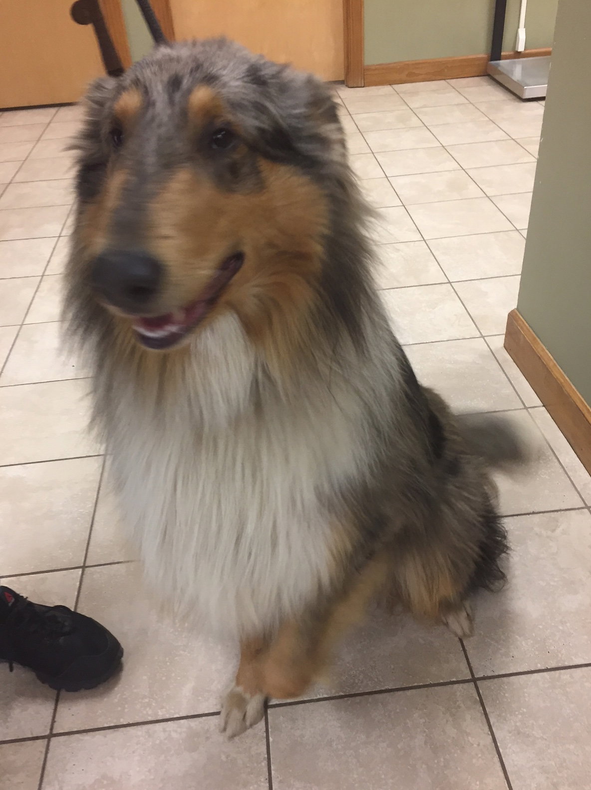 Lucky - photo 4