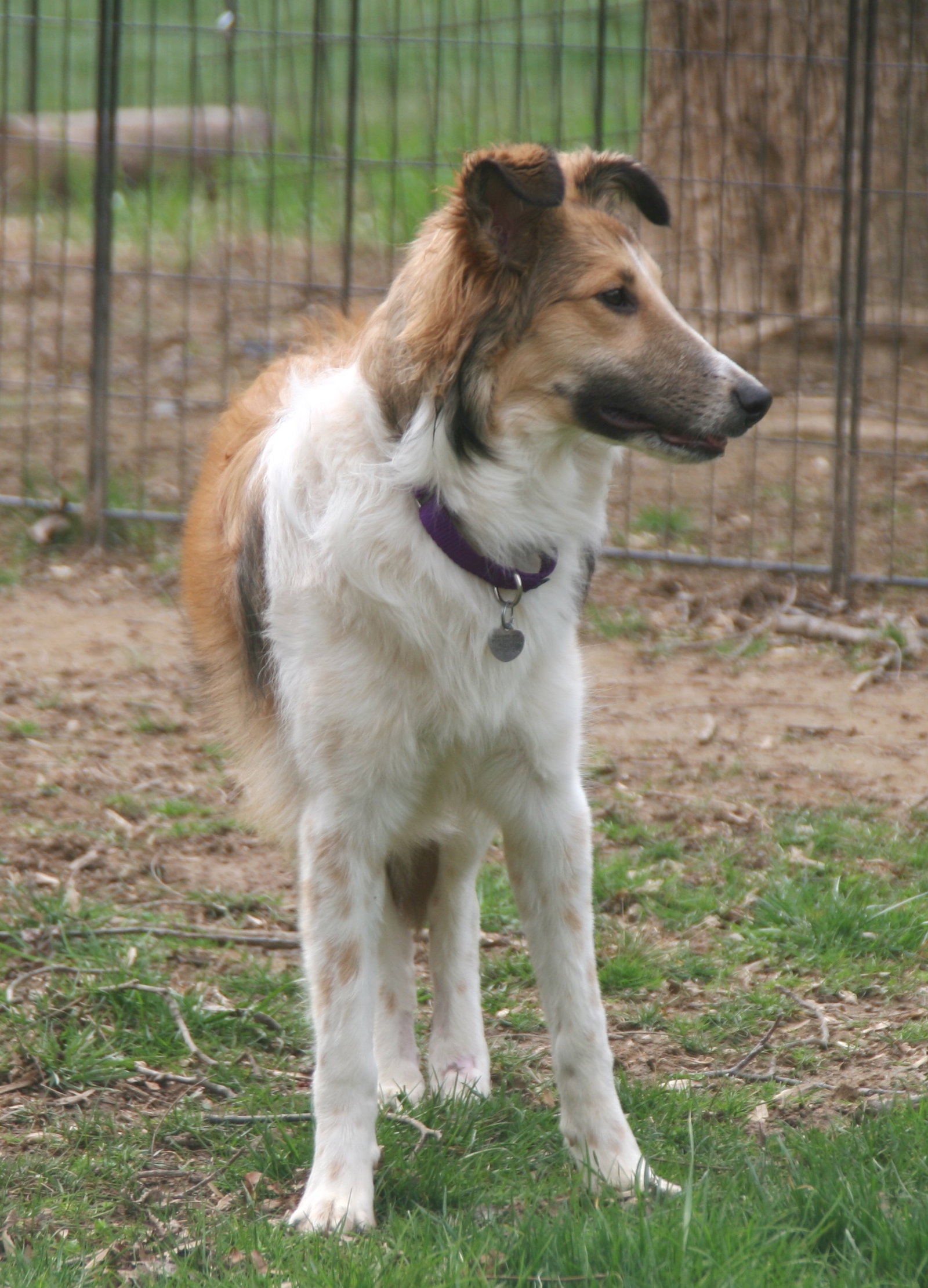 Lil' Girl - photo 2