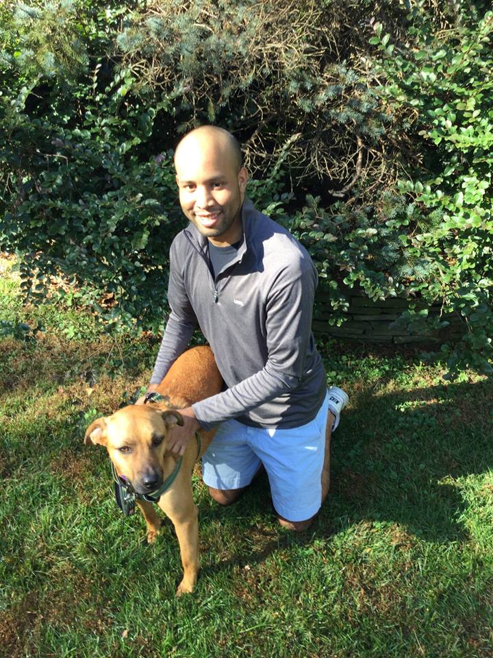 Val a Adult Female Rhodesian Ridgeback / Labrador Retriever / Mixed (short coat) adopted through Collie Rescue