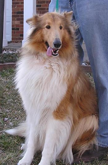 Trixie - photo 2