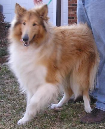 Trixie - photo 3