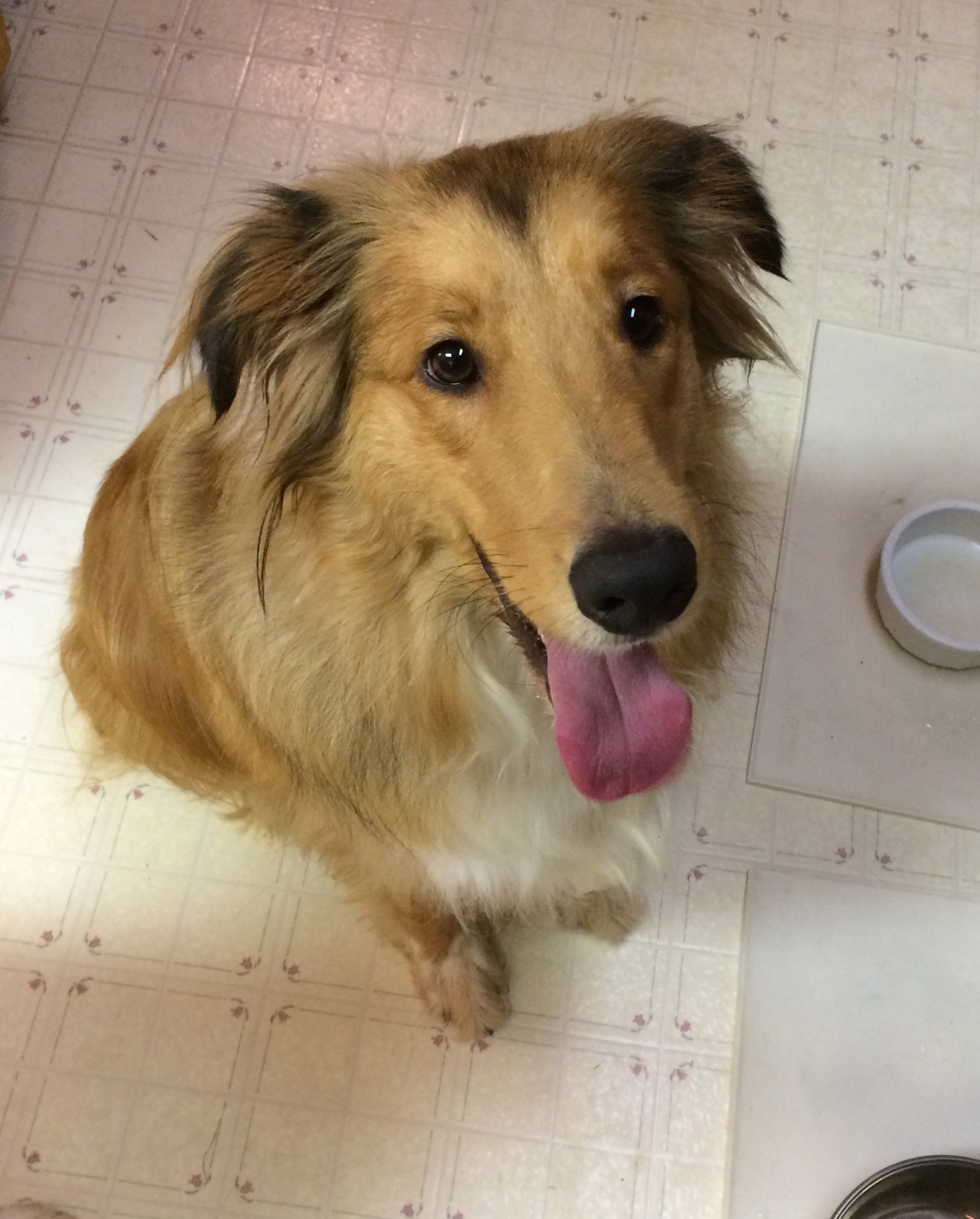Willie - photo 3