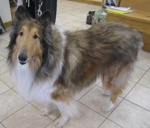 Max - photo 2