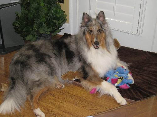 Jack - photo 2
