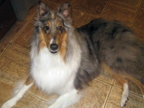 Jack - photo 3