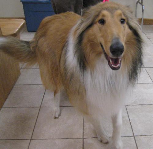 Bonnie - photo 2