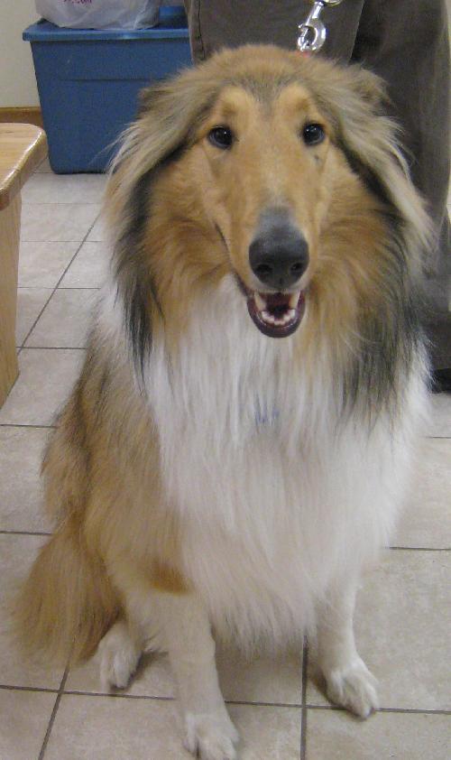 Bonnie - photo 3
