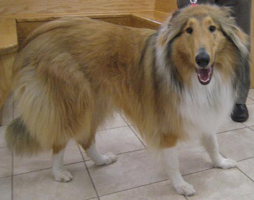 Bonnie - photo 4