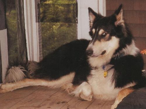 Gibbs - photo 3