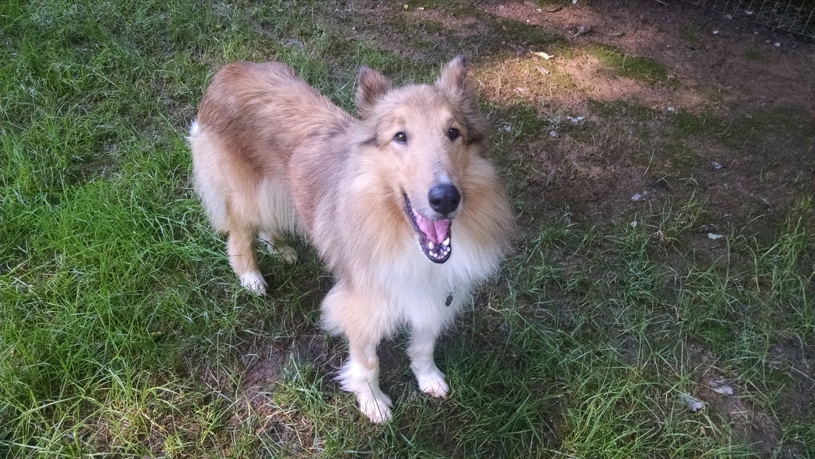 Dora - photo 3