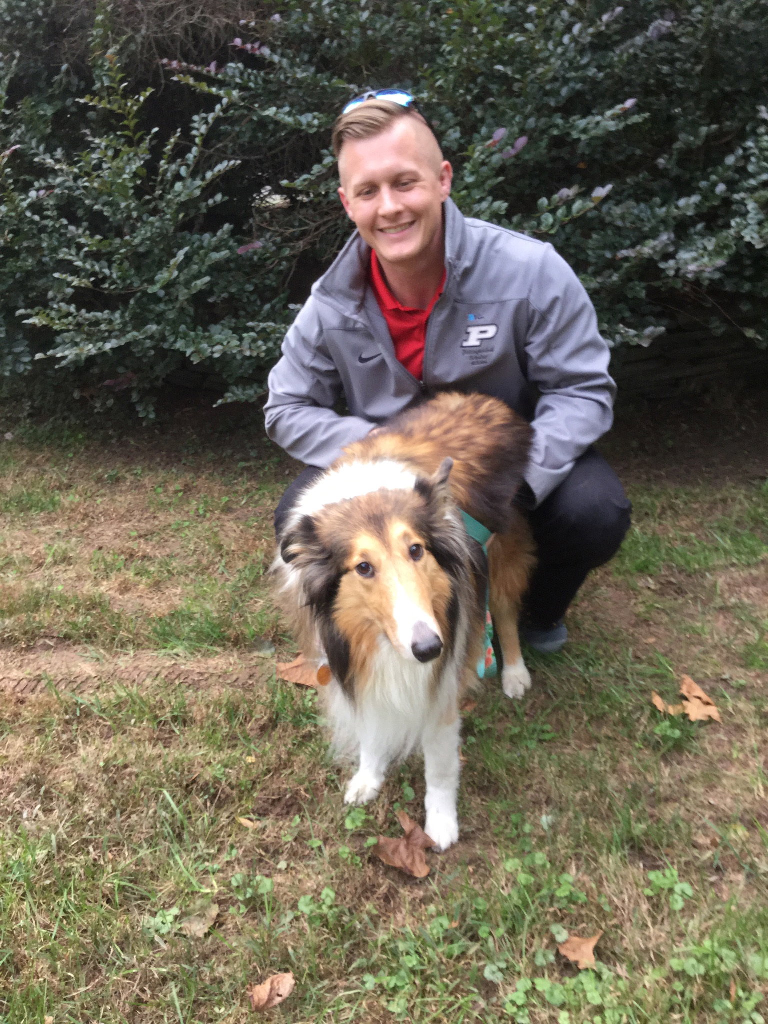 Cloe a Adult Female Collie (long coat) adopted through Collie Rescue