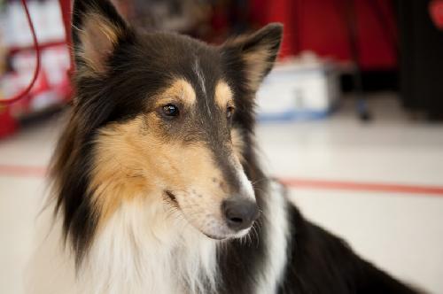 Mia - photo 4