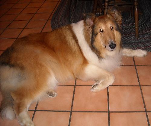 Heidi - photo 3