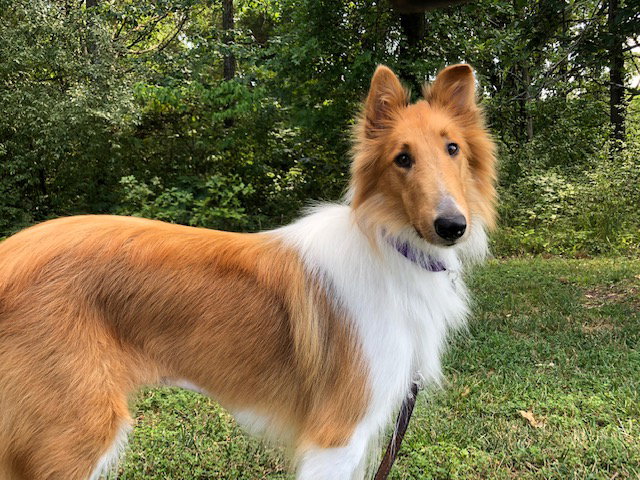 Peaches - photo 3