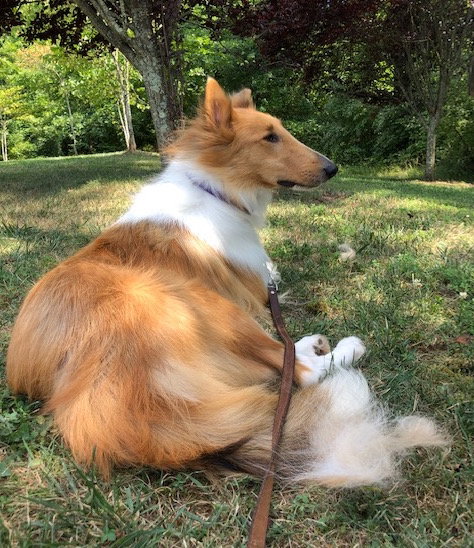 Peaches - photo 5