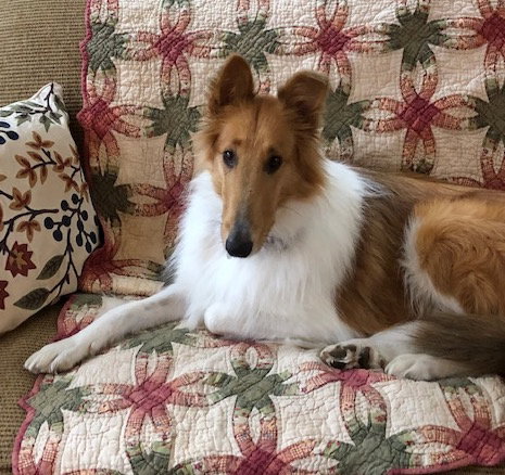 Peaches - photo 2