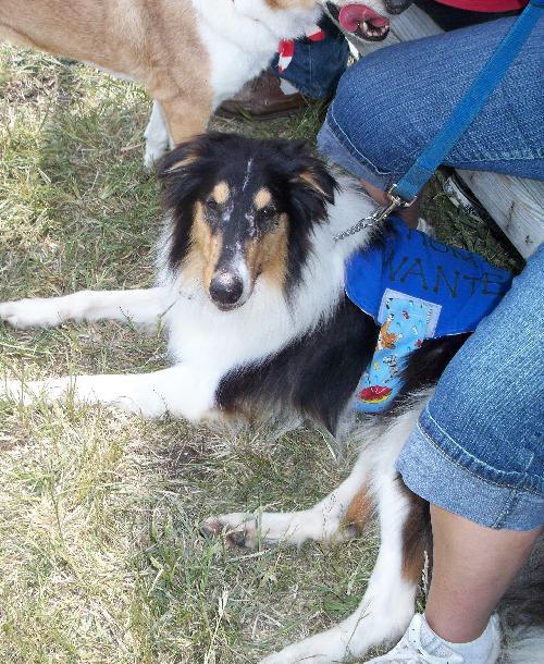 Buddy - photo 2