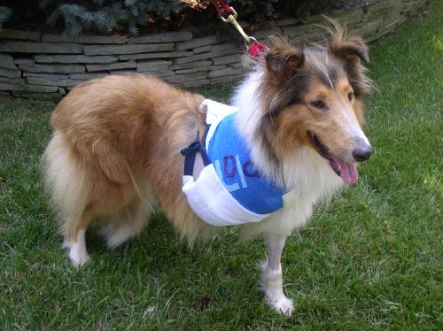 Lola - photo 3