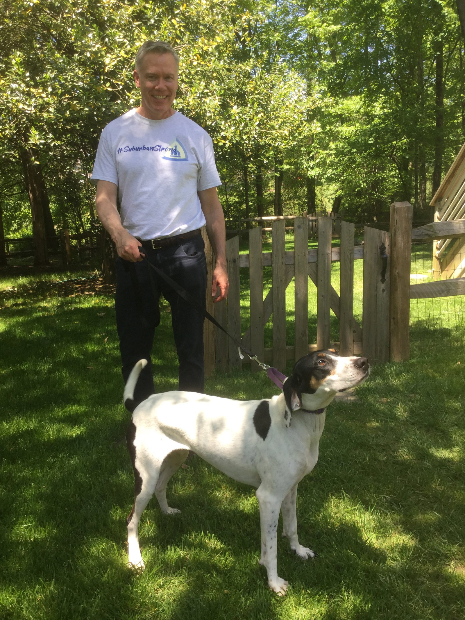 Holly a Adult Female Hound / Mixed (short coat) adopted through Collie Rescue