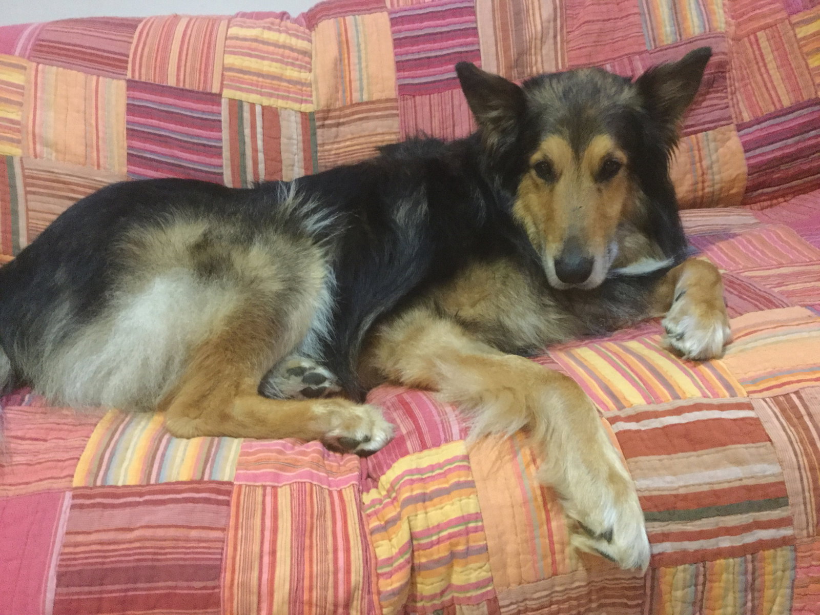 Kringle - photo 5