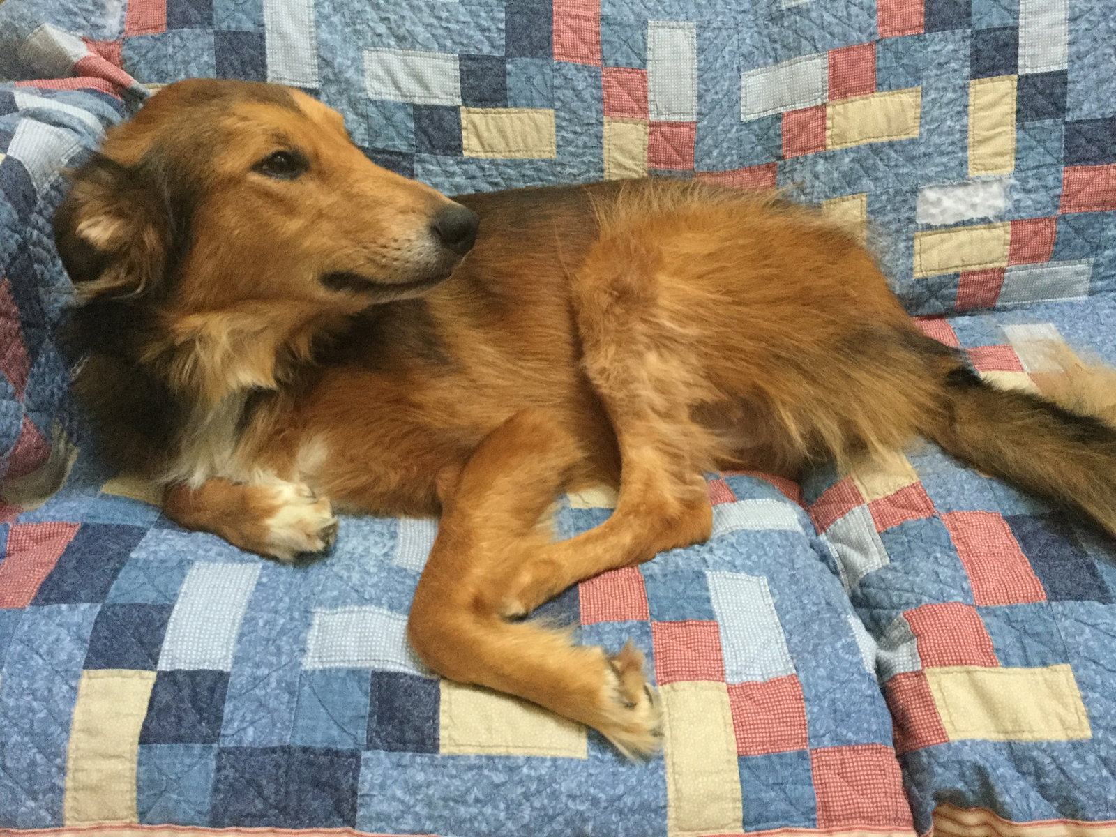 Ellie - photo 6